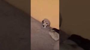 покупаем металлолом, аккумуляторы