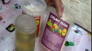 Что делать,когда ботва картофеля жирует