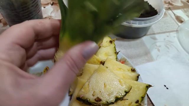 Семена в ананасе смотреть онлайн