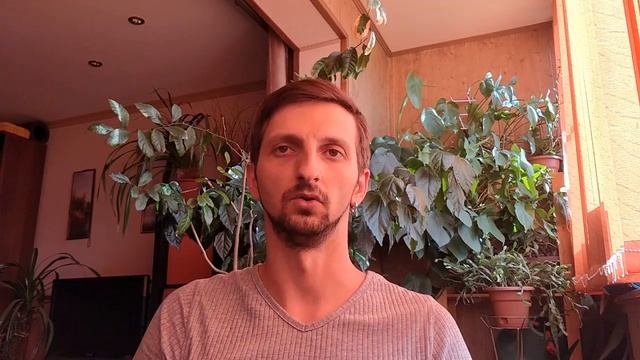 Отзыв от фрилансера / Курс "Дизайнер социальных сетей" смотреть онлайн
