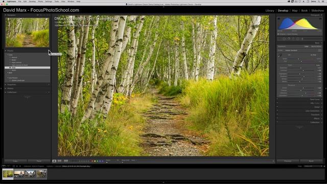 How To Find Missing Develop Presets In Adobe Lightroom Classic смотреть онлайн