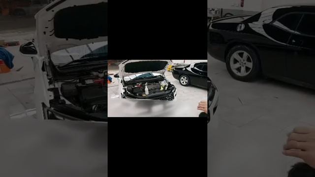 2023 Ford Taurus Titanium For Tint And PPF | Bumper, Fender, Hood, Visor And Side Mirror)