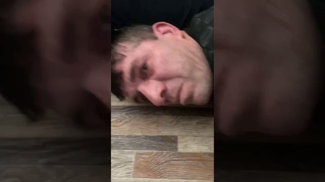 Задержание банды в Белгородской области смотреть онлайн