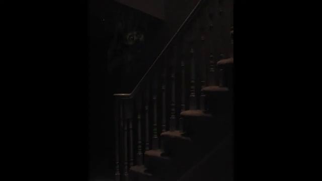 Unnerving Images with Terraria Soundtrack - Overworld Day смотреть онлайн