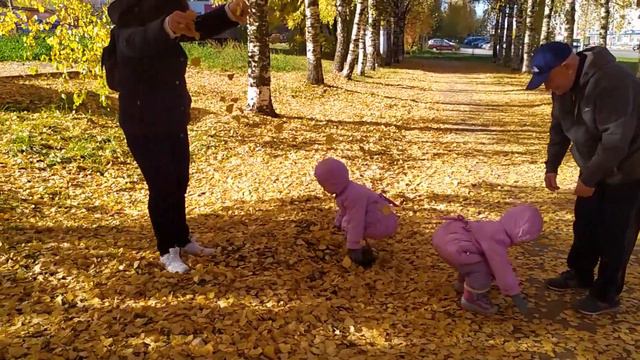 Дива и Ева гуляют по Осеннему Парку / Diva and Eva walk in the autumn Park смотреть онлайн