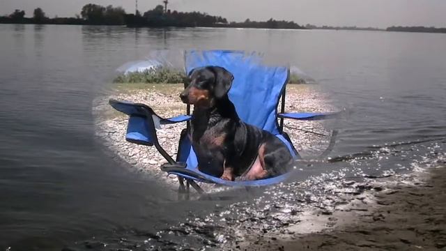Наш вернй друг,