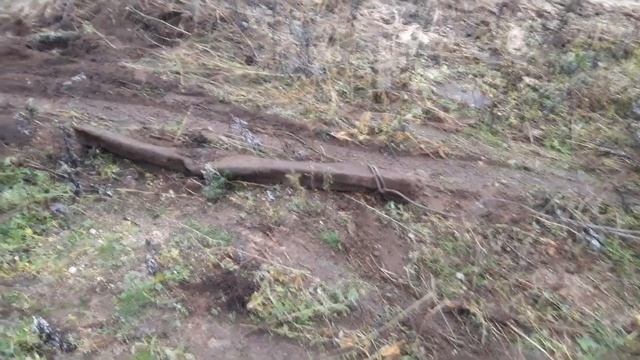 Перекопали почти все поле, и до сих пор находим хороший металл смотреть онлайн
