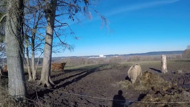 Winterradtour zu den Aussichtspunkten смотреть онлайн