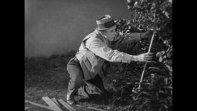 The Freshman (a 1925 Comedy, FHD) With Harold Lloyd, Jobyna Ralston, Brooks Benedict, James Anderso