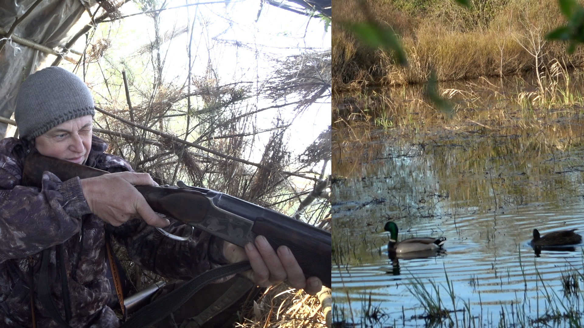 Весенняя охота с чубарой подсадной уткой #3 \ В гостях у Веры смотреть онлайн