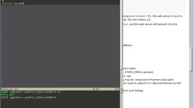 Accessing server information смотреть онлайн