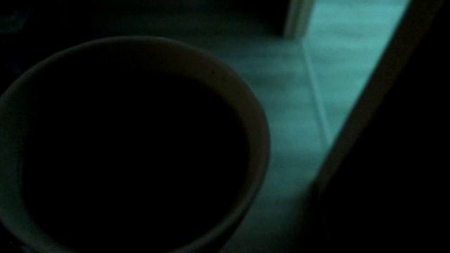 ШОПИНГ, ДЕТОКС, ЗАНЯТИЯ У ДЕВОЧЕК