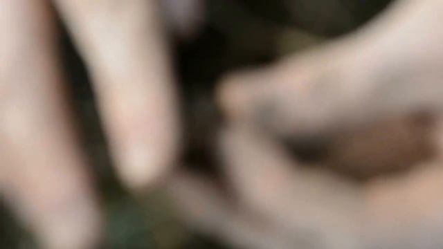 Приборный поиск. Первое серебро сезона или Нива едет! смотреть онлайн