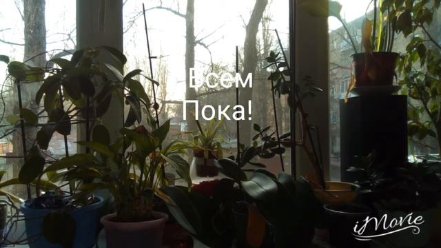 Поздравляю с днем рождения Амалию! смотреть онлайн