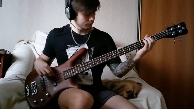 Nirvana - In bloom bass cover (playthrough) смотреть онлайн