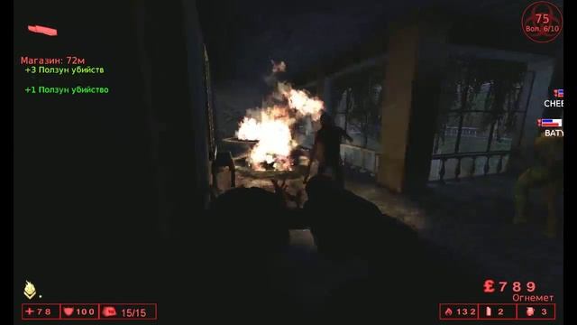 Bedlam прохождение на 10 вол на сложности Ад на Земле