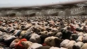 Мака и Мадина 2020