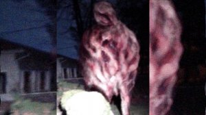 Lil Nugget - Ужасы Тревора Хендерсона | Creepypastas and unnerving images
