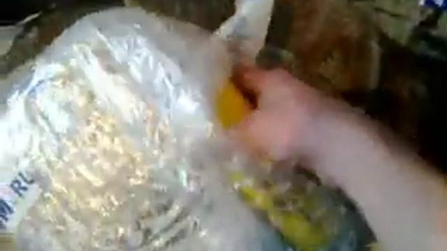 автоджисм смотреть онлайн