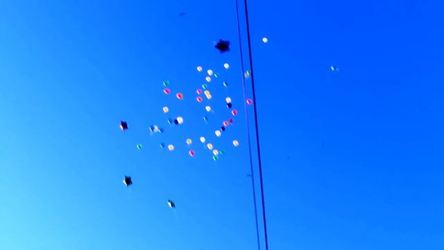 Отпустили шары в небо Выпуск 2012 Гимназия №1 смотреть онлайн