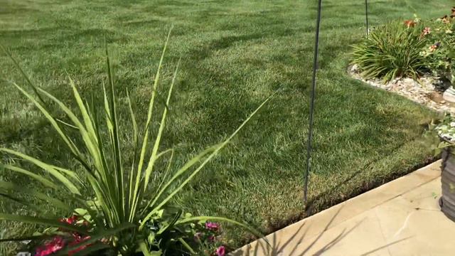 Sunday Morning, July 19, 2020. (Riley, Indiana). Georgina’s Garden. A video for mom смотреть онлайн