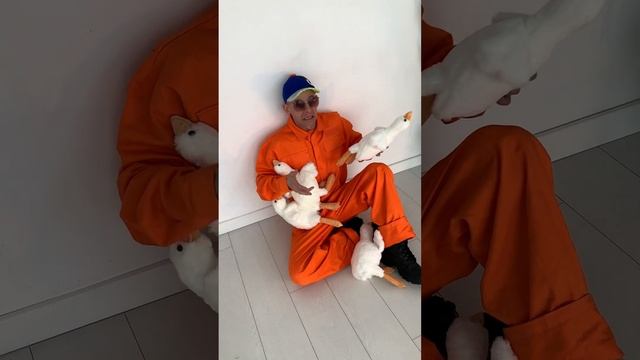 Гусь обнимусь - атака смотреть онлайн