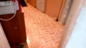 Как избавиться от короеда