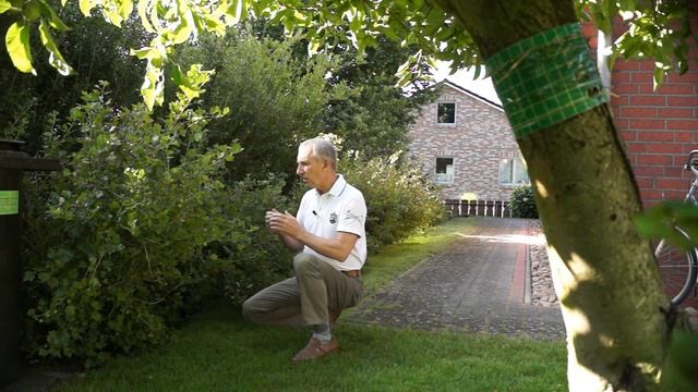 Крыжовник в июле смотреть онлайн