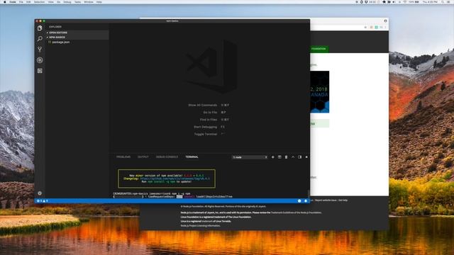 NPM Beginner Basics Tutorial смотреть онлайн