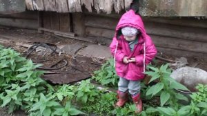 Крапива жалит))