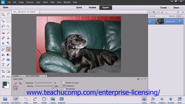 Adobe Photoshop Elements 12 Tutorial Painting Tools Employee Group Training 6.8 смотреть онлайн