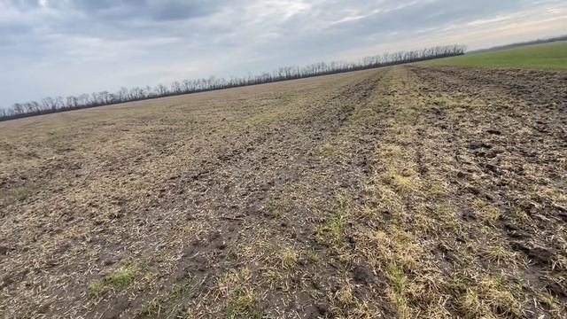 Обзор посевов | 9 Февраля 2024 год смотреть онлайн