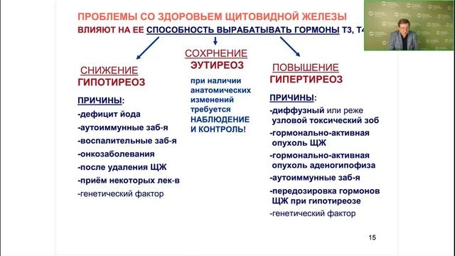 Лекция Д.Е. Губина "Гормоны 2.Щитовидная железа" смотреть онлайн
