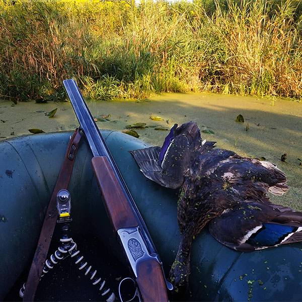 ОТКРЫТИЕ ОХТЫ ПО ПЕРУ. ТРУДОВАЯ, НО УДАЧНАЯ ОХОТА смотреть онлайн