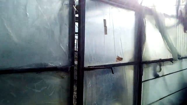 клубника в теплицы ,чистка старых кустов смотреть онлайн