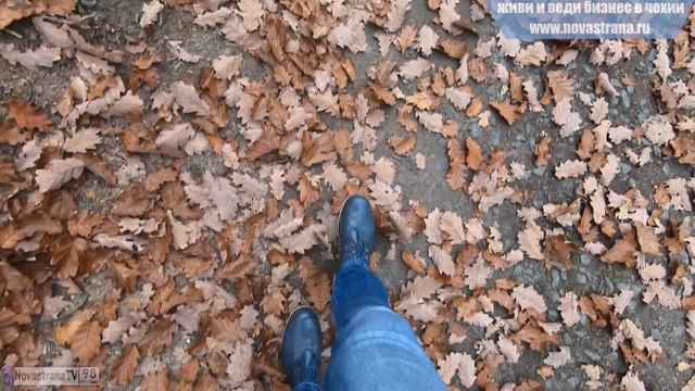 Жизнь в Чехии перед зимой | Осенняя Чехия, Пругонице | NovastranaTV смотреть онлайн