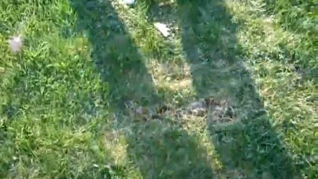 X treme Golf Newboro смотреть онлайн