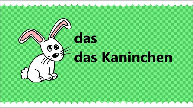 🐶 Deutsch A1 🐰 Possessivpronomen 🐦 Mein / Dein / Sein / Ihr / Unser / Euer Etc. Thema Haustiere 🐢