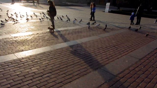 Kirovograd Ukraine смотреть онлайн