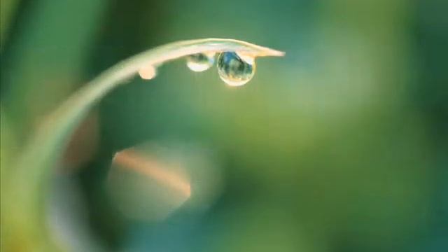 С Днём Рождения, Женя.wmv смотреть онлайн