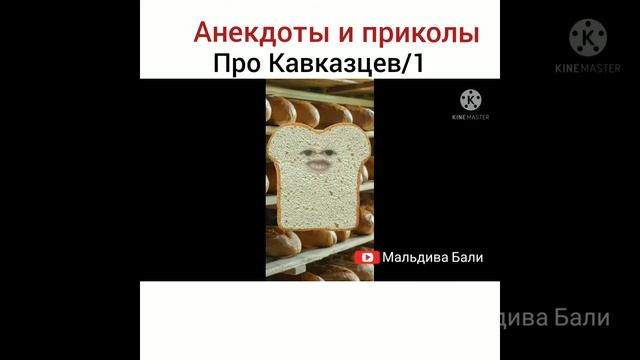 Кавказская пословица,шутки про Кавказцев смотреть онлайн