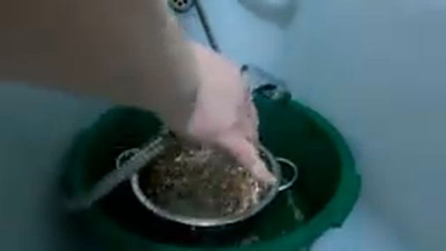 Перезапуск аквариума и как правильно промыть грунт!!! смотреть онлайн