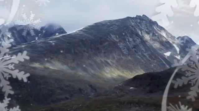 Митын Дада Республика Северная Осетия-Алания разговоры о важном 25 декабря 2023 видеоролик смотреть онлайн