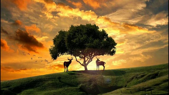 Лови момент смотреть онлайн