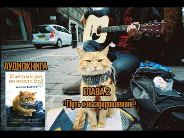 Аудиокнига "Джеймc Боуэн - Уличный кот по имени Боб" смотреть онлайн