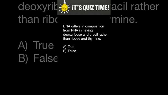 DNA composition vs RNA смотреть онлайн