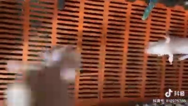 Sleep like a pig. смотреть онлайн