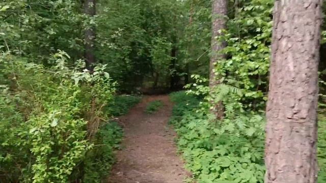 Природные Красоты и Национальные Парки