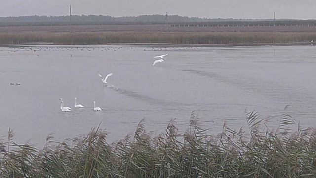 НеПРИДУМАННЫЕ ИСТОРИИ. Начало начал. смотреть онлайн