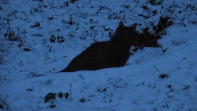 На охоте смотреть онлайн